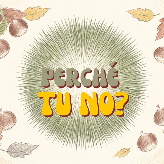 Copertina di Perché tu no?: un riccio di castagna verde disegnato a matite colorate al centro, con il titolo sopra, e castagne e foglie d'autunno sparse agli angoli